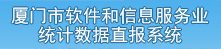 厦门软件业网站直报系统